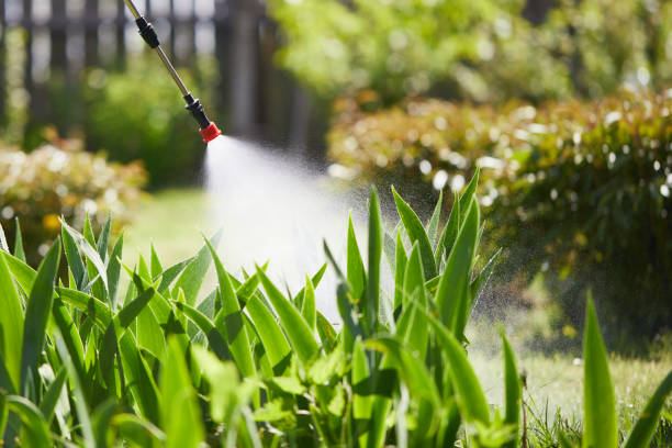 24/7 Emergency Mosquito Control experts in South Beach, FL