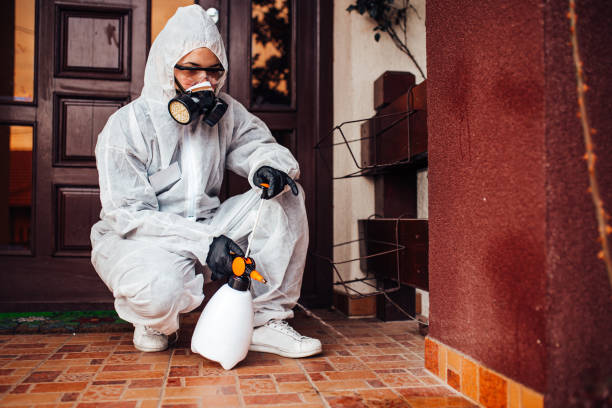 Reliable Mosquito Control contractor in South Beach, FL by Show Me Pest Control